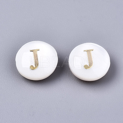 Natural Freshwater Shell Beads SHEL-S266-12J-1