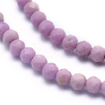 Natural Lepidolite/Purple Mica Beads Strands G-G823-16-3mm-1