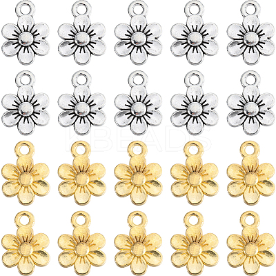 100Pcs 2 Colors Tibetan Style Alloy Charms FIND-SC0010-74-1