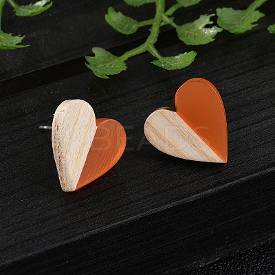 Resin & Wood Stud Earrings EJEW-N017-002A-1