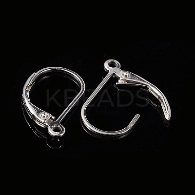 925 Sterling Silver Hoop Earrings STER-P032-06S-1
