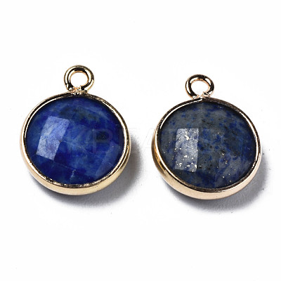Natural Lapis Lazuli Charms G-Q998-026A-1