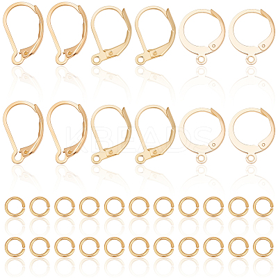 30Pcs 3 Styles 304 Stainless Steel Leverback Earring Findings STAS-BBC0009-24-1