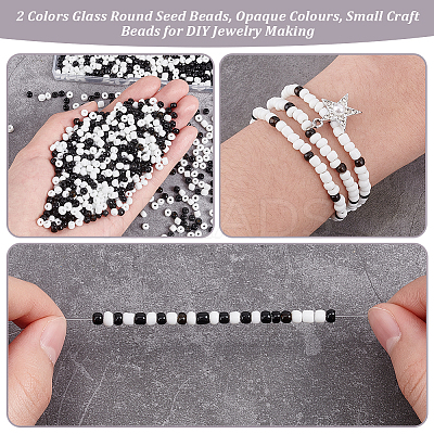 200G 2 Colors 6/0 Glass Round Seed Beads SEED-PH0002-11B-1