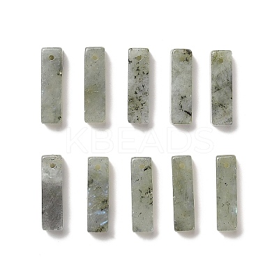 Natural Labradorite Pendants G-L593-01C-1