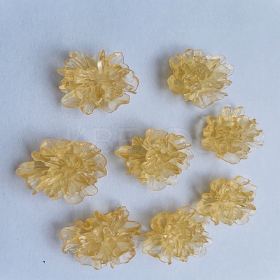 Transparent Resin Cabochons LS-RESI-G027-01C-1