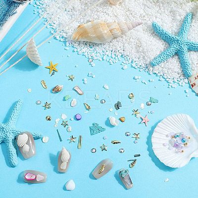 Ocean Theme Natural Shell & Resin & Plastic & Alloy Nail Art Decoration MRMJ-CP0001-34D-1
