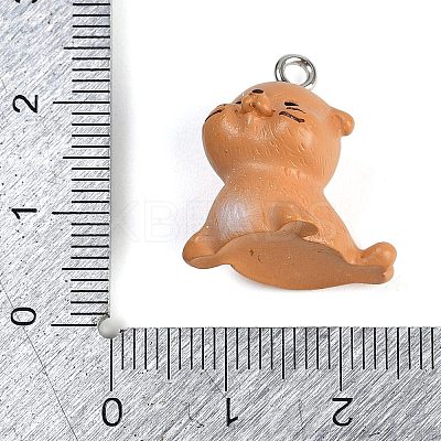 Cute Opaque Resin Pendants RESI-R458-05B-1