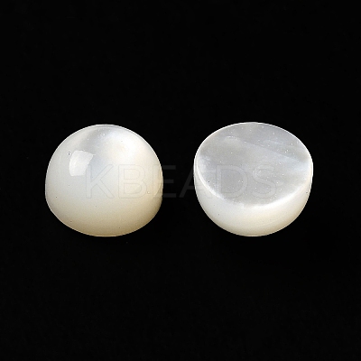 Natural White Shell Cabochons SSHEL-M022-01A-1