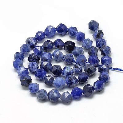 Natural Sodalite Beads Strands G-R448-6mm-09-1