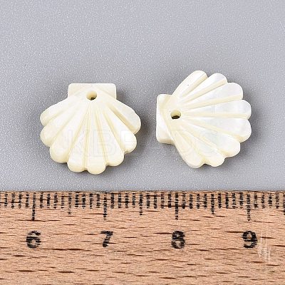 Natural Trochus Shell Carved Pendants SHEL-Q028-09-1
