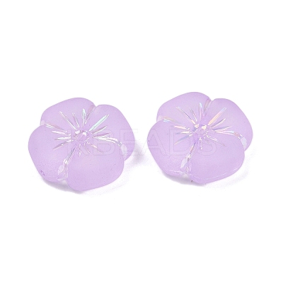 Frosted Transparent Acrylic Beads OACR-P029-19B-04-1