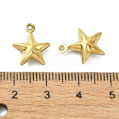 Ion Plating(IP) 304 Stainless Steel Charms STAS-L024-012G-1