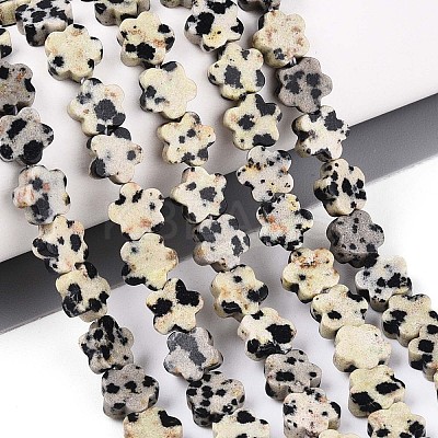 Natural Dalmatian Jasper Beads Strands G-N257-24A-04-1