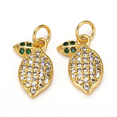 Brass Micro Pave Cubic Zirconia Charms LS-ZIRC-L093-18G-1