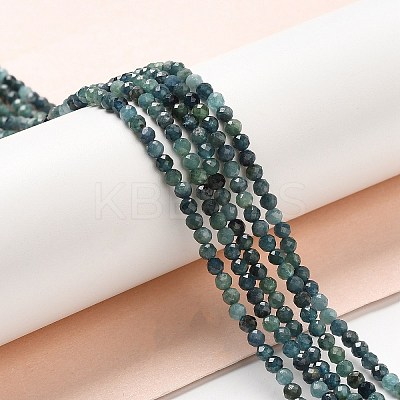 Natural Blue Tourmaline Beads Strands LS-G-E608-A05-B-1