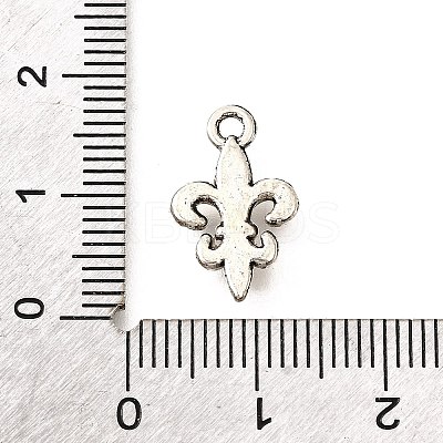 Tibetan Style Alloy Pendants LS-TIBE-L008-15AS-1