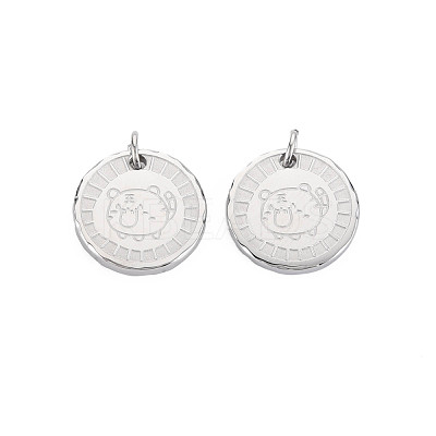 Non-Tarnish 304 Stainless Steel Pendants STAS-N097-159P-1