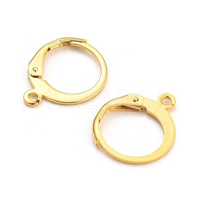 304 Stainless Steel Leverback Earring Findings STAS-D448-041G-1