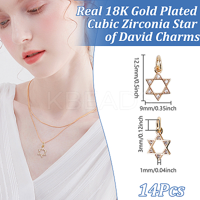 14Pcs Brass Micro Pave Clear Cubic Zirconia Charms KK-GO0002-27-1