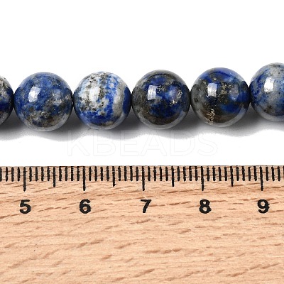 Natural Lapis Lazuli Beads Strands G-G344-A09-10mm-1