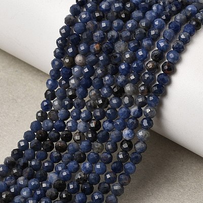 Natural Sodalite Bead Strands G-P279-58-3mm-01-1
