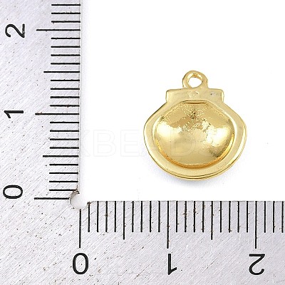 Brass Enamel Charms KK-I352-05G-1
