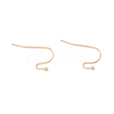 316 Surgical Stainless Steel Earring Hooks X-STAS-P307-07G-1