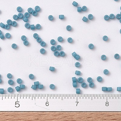 MIYUKI Delica Beads SEED-J020-DB0798-1