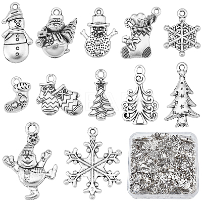 120Pcs 12 Style Tibetan Style Alloy Pendants TIBE-SC0001-64-1