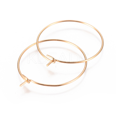304 Stainless Steel Hoop Earrings Findings LS-STAS-I120-60B-G-1