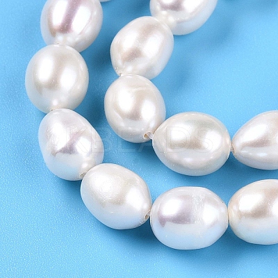 Natural Cultured Freshwater Pearl Beads Strands PEAR-N012-23C-01-1