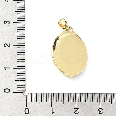 Brass Enamel Pendants KK-D358-01D-G-1