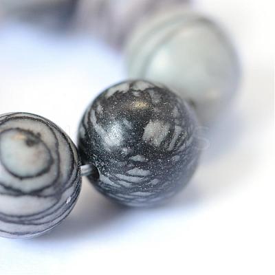 Natural Black Silk Stone/Netstone Round Bead Strands G-E334-12mm-05-1