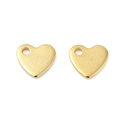 304 Stainless Steel Charms X-STAS-Q112-G-1