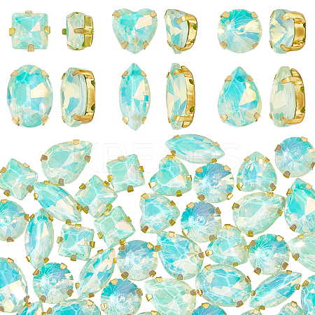 106pcs 6 Style Sew On Rhinestone FIND-OC0004-09D-1