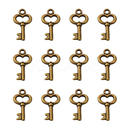 Gifts Ideas for Her Tibetan Style Alloy Charms LS-MLF11975Y-NF-1