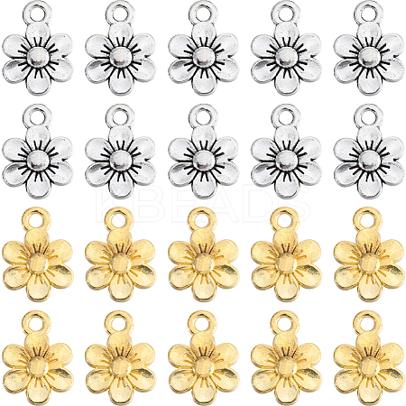 100Pcs 2 Colors Tibetan Style Alloy Charms FIND-SC0010-74-1