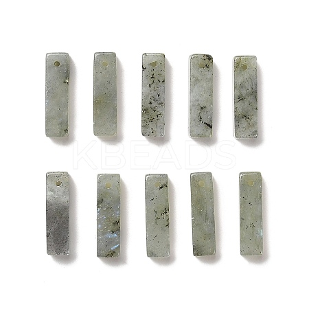 Natural Labradorite Pendants G-L593-01C-1