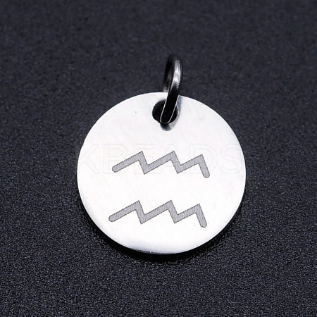 Non-Tarnish 201 Stainless Steel Charms STAS-T049-T643-11P-1