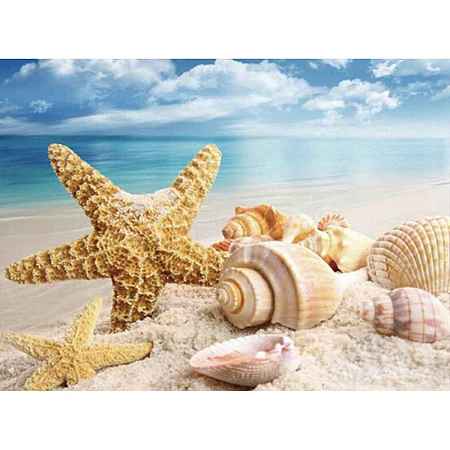 Starfish & Shell Pattern Beach Theme DIY Diamond Painting Kit WG37486-01-1