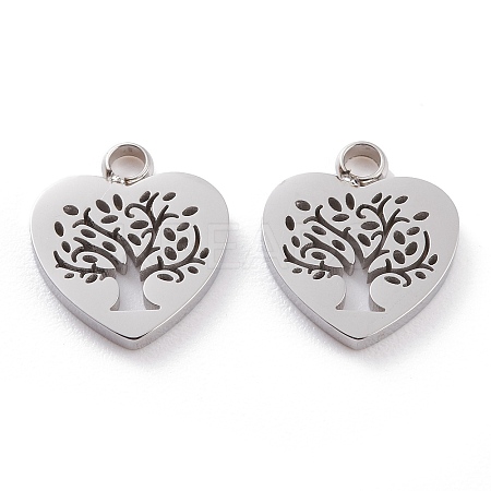 Non-Tarnish 304 Stainless Steel Charms LS-STAS-Y002-05P-1