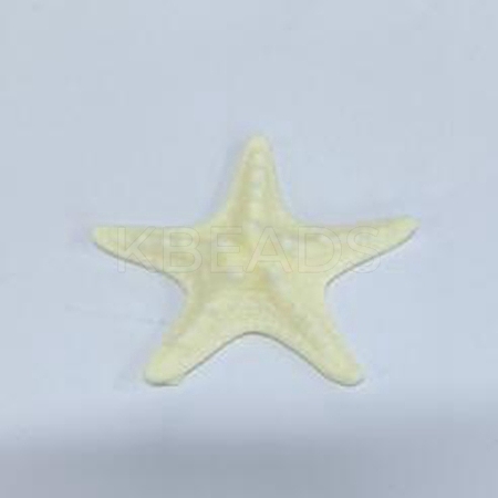Resin Cabochons RESI-WH0024-74B-1