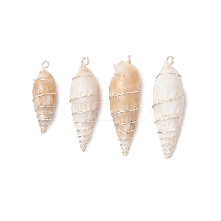 Copper Wire Wrapped Natural Spiral Shell Big Pendants PALLOY-JF03397-01-1