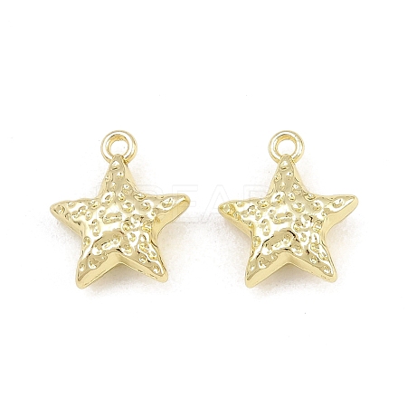 Alloy Charms AL-CBA15FB-11G-1