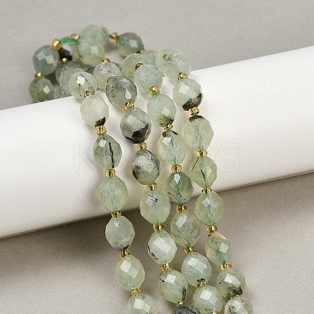 Natural Prehnite Beads Strands G-N342-149I-25-1