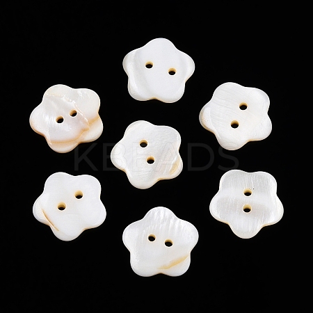 Freshwater Shell Buttons BUTT-T013-01-1