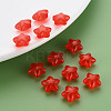 Transparent Acrylic Beads LS-MACR-S373-26E-04-6