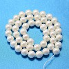 Round Shell Pearl Bead Strands X-BSHE-L011-8mm-A013A-3