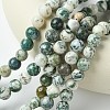 Natural Tree Agate Round Gemstone Beads Strands G-R255-10mm-2
